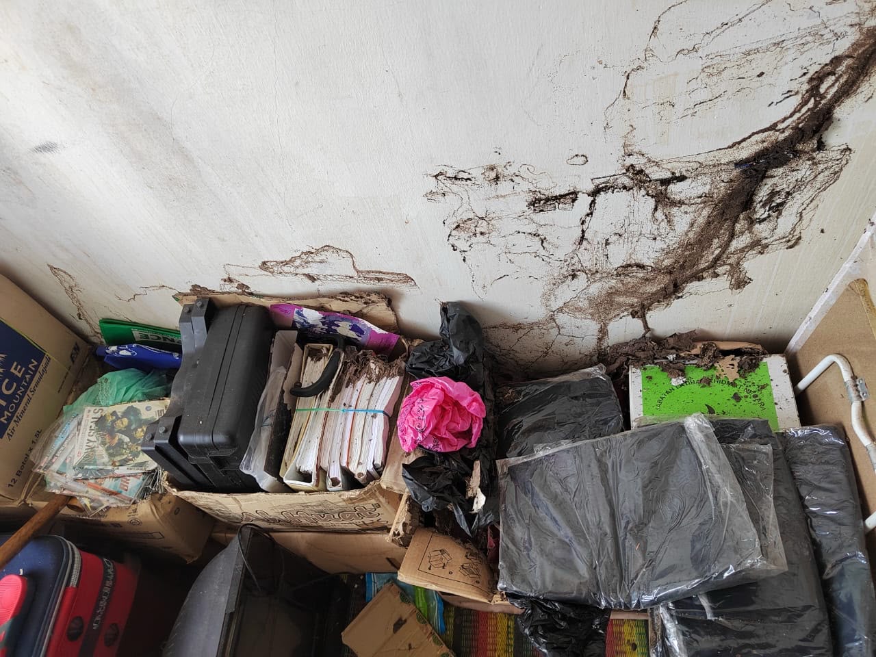 Termite Control — Treatment Plan