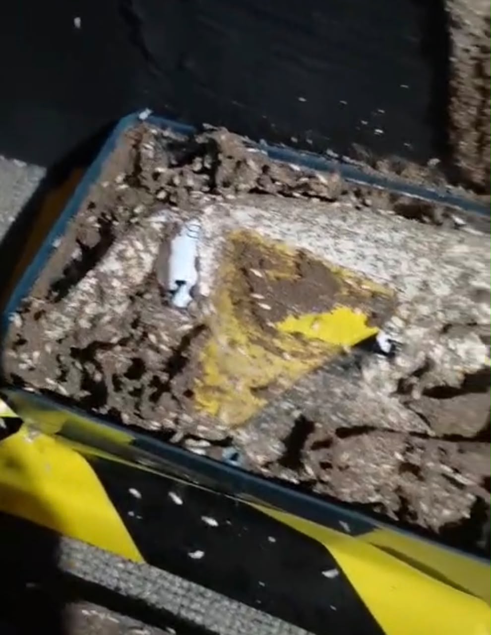 Termite Control — Monitoring, Follow-Up & Warranty
