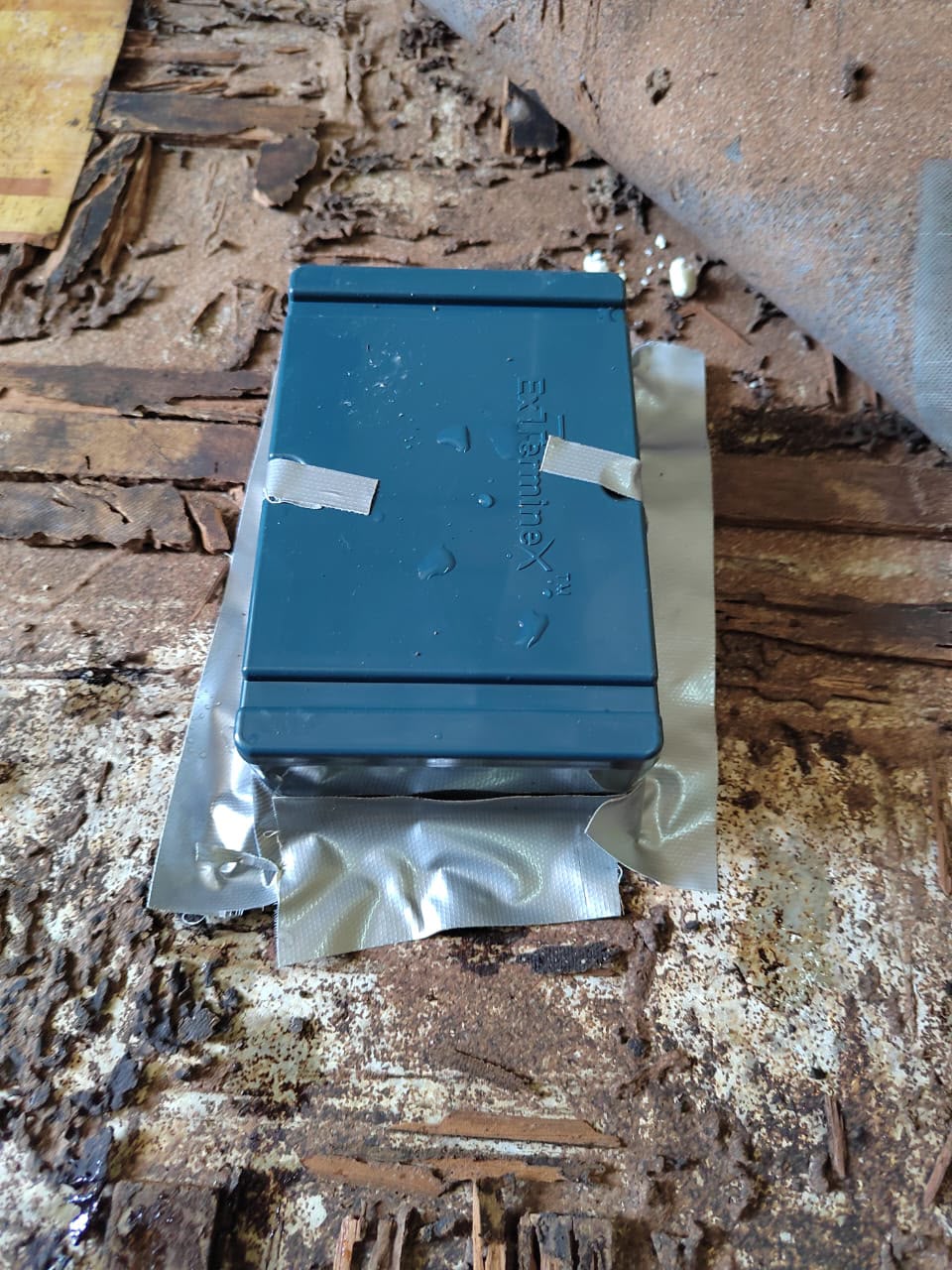 Termite Control — Termite Baiting