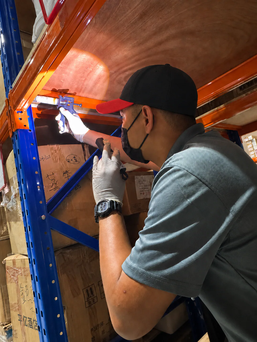 Cockroach Control — Detailed Cockroach Inspection