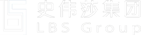 LBS Group